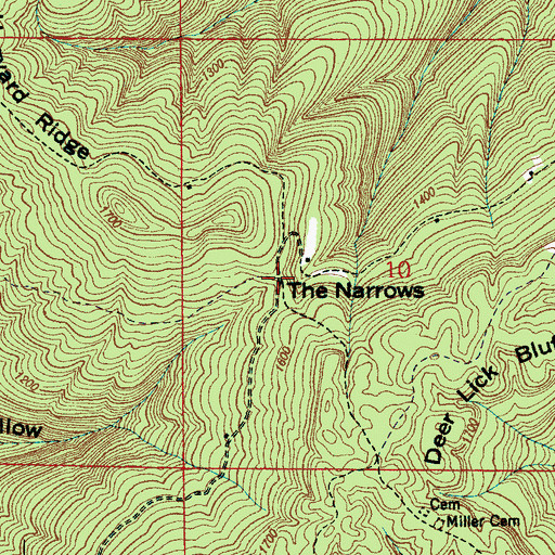 Topographic Map of The Narrows, AL