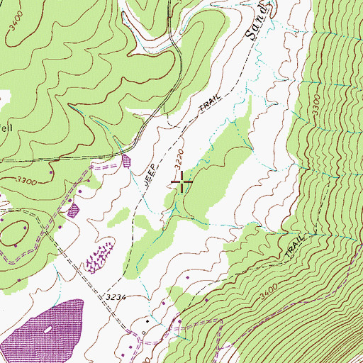 Topographic Map of Spruce Island Lake, WV