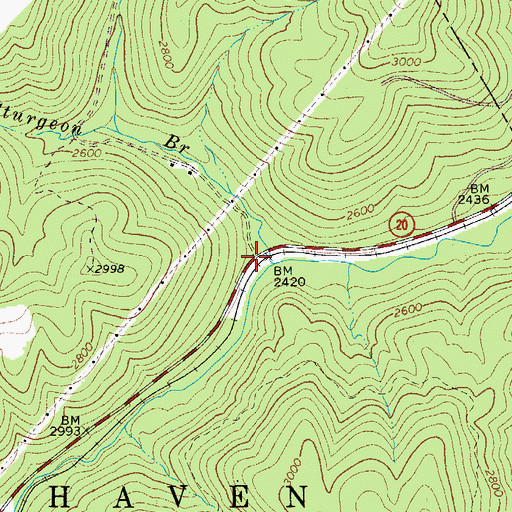 Topographic Map of Sturgeon Branch (historical), WV