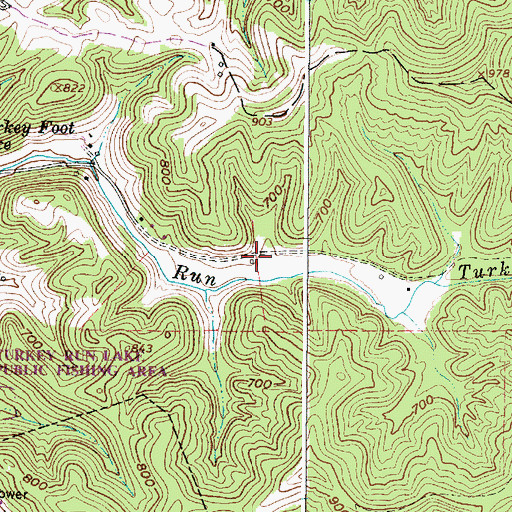 Topographic Map of Turkey Run School (historical), WV