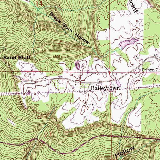 Topographic Map of Baileytown, AL