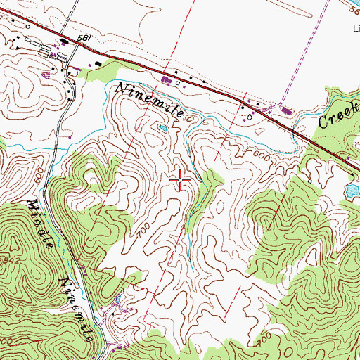Topographic Map of Mason County, WV