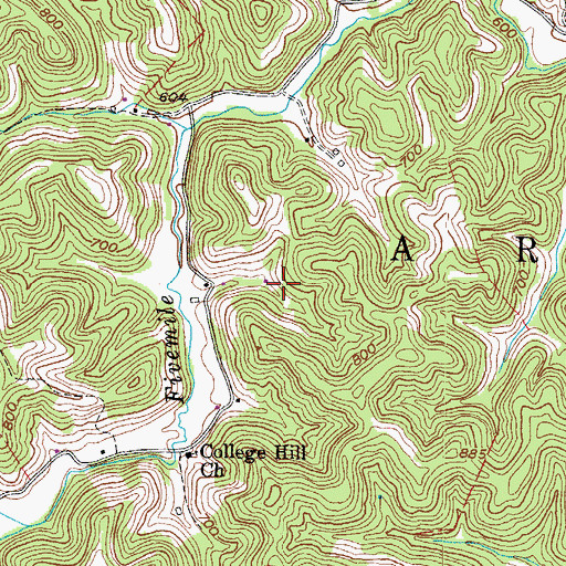 Topographic Map of Williams Spring, WV