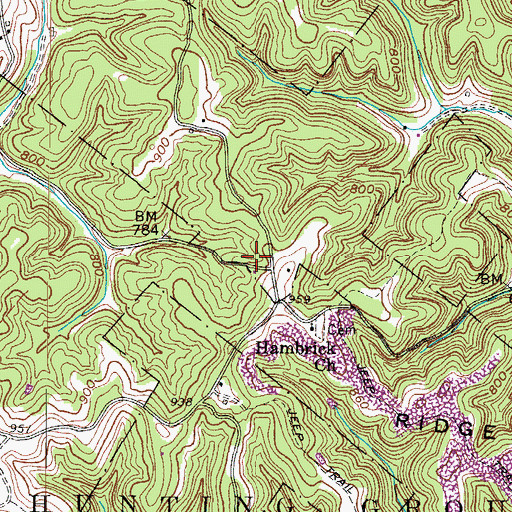 Topographic Map of Woyan Spring, WV