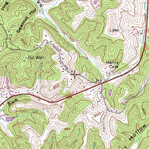 Topographic Map of Remus (historical), WV