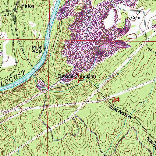 Topographic Map of Bessie Junction, AL