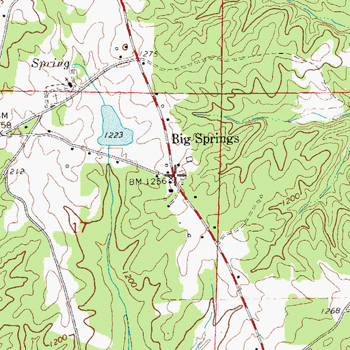 Topographic Map of Big Springs, AL