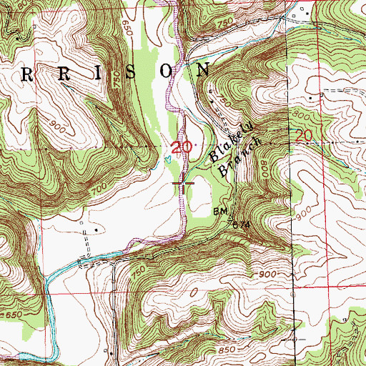 Topographic Map of Blakely Branch, WI