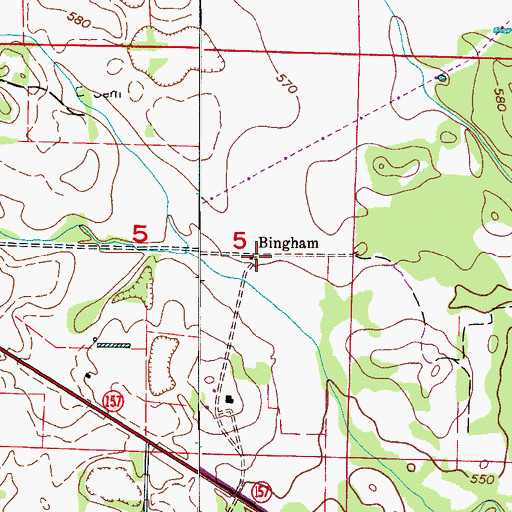 Topographic Map of Bingham, AL