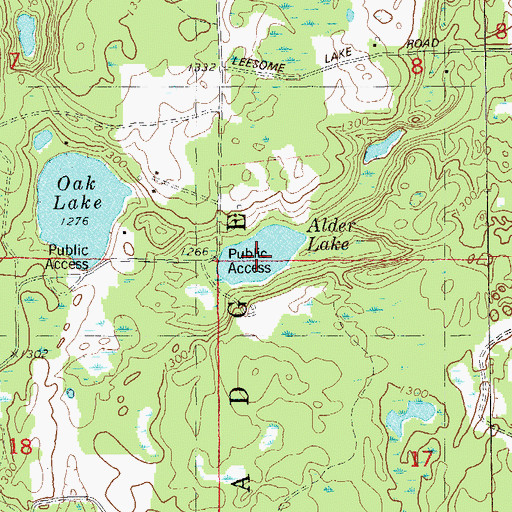 Topographic Map of Alder Lake, WI