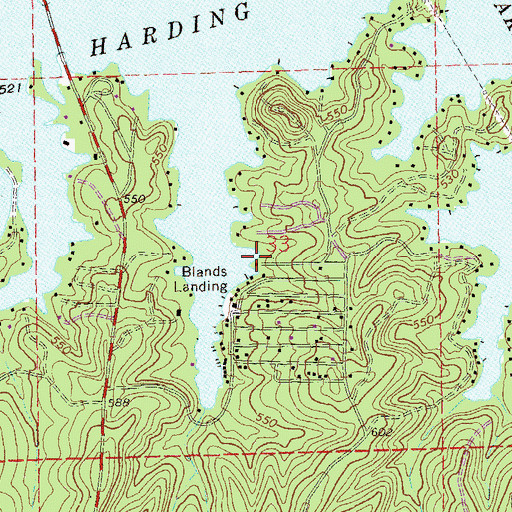 Topographic Map of Blands Landing, AL