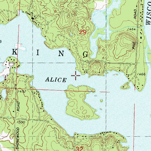 Topographic Map of Lake Alice, WI