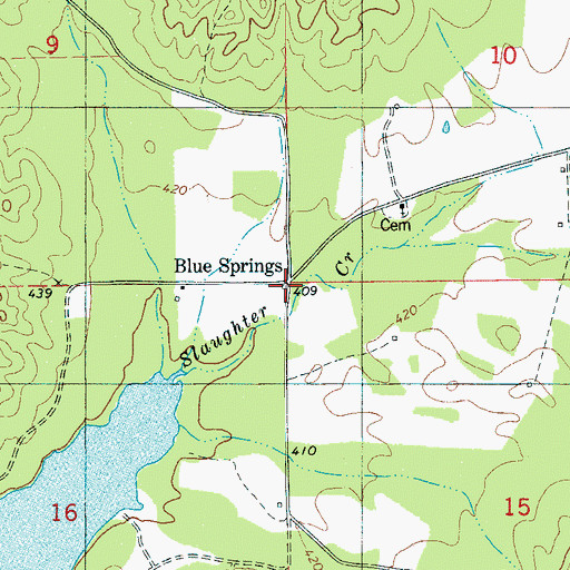 Topographic Map of Blue Springs, AL