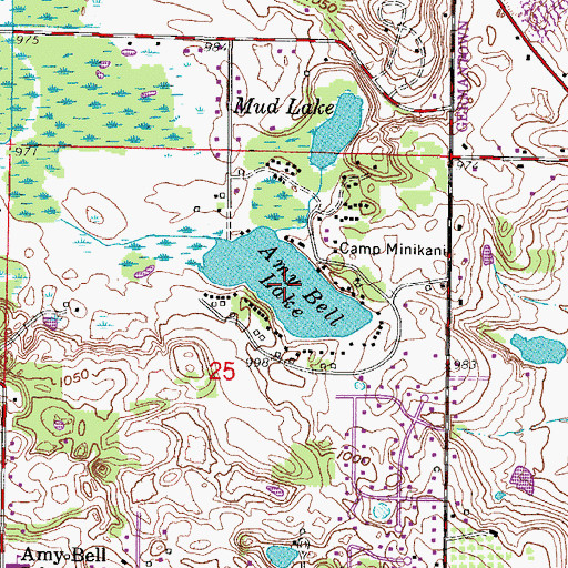 Topographic Map of Amy Bell Lake, WI