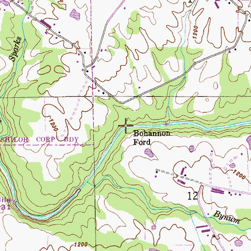 Topographic Map of Bohannon Ford, AL