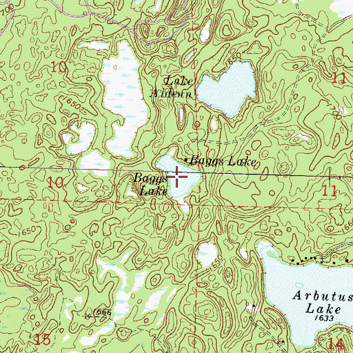 Topographic Map of Baggs Lake, WI