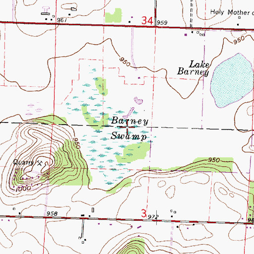 Topographic Map of Barney Swamp, WI