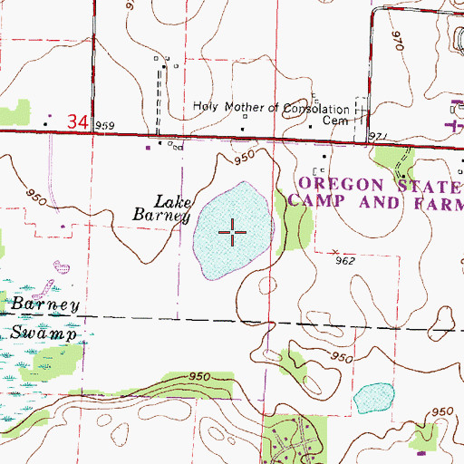 Topographic Map of Lake Barney, WI