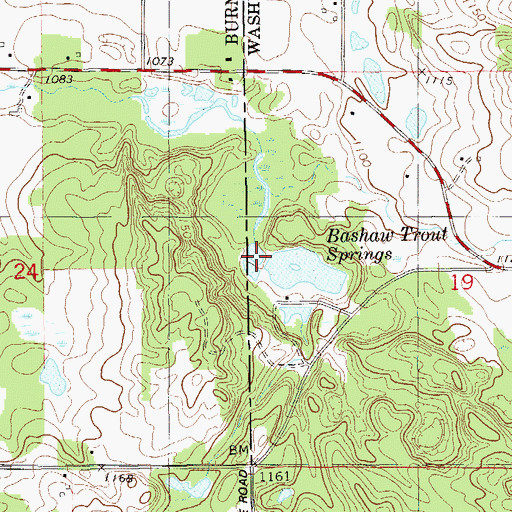 Topographic Map of Bashaw Trout Springs, WI