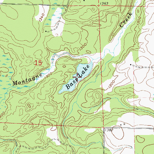Topographic Map of Bass Lake, WI