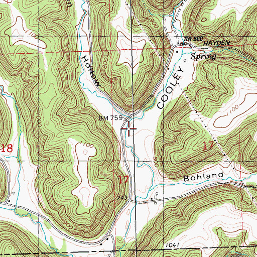 Topographic Map of Bean Hollow, WI
