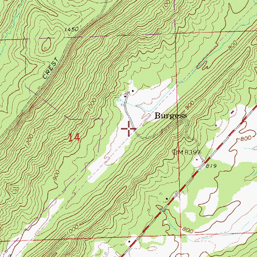 Topographic Map of Burgess, AL
