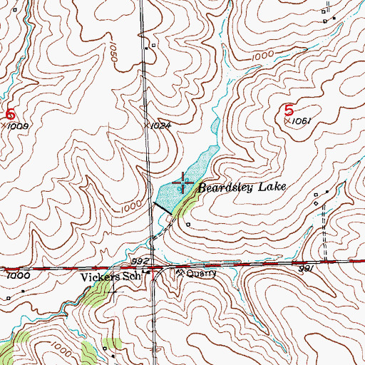 Topographic Map of Beardsley Lake, WI