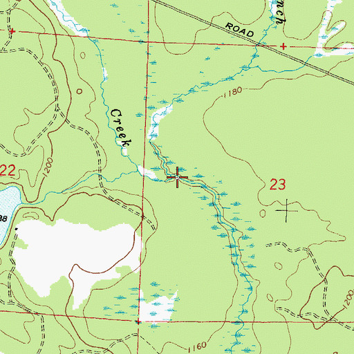 Topographic Map of Beaver Branch, WI