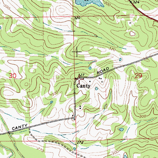 Topographic Map of Canty, AL