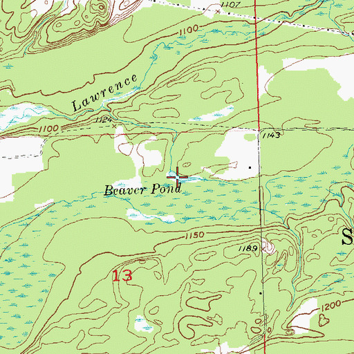 Topographic Map of Beaver Pond, WI