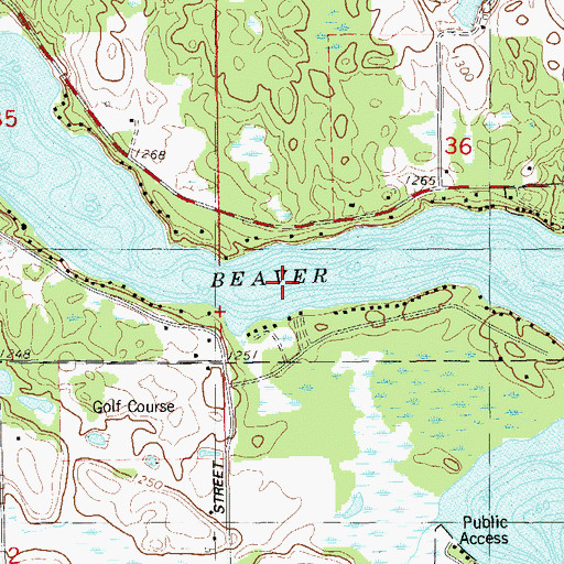 Topographic Map of Beaver Dam Lake, WI