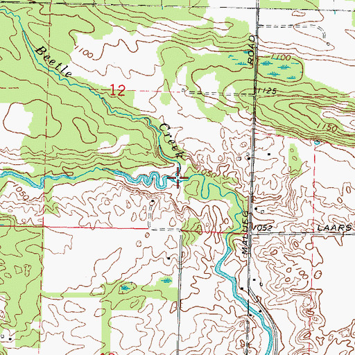 Topographic Map of Beetle Creek, WI