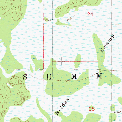 Topographic Map of Belden Swamp, WI