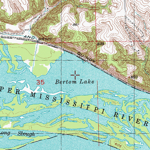Topographic Map of Bertom Lake, WI