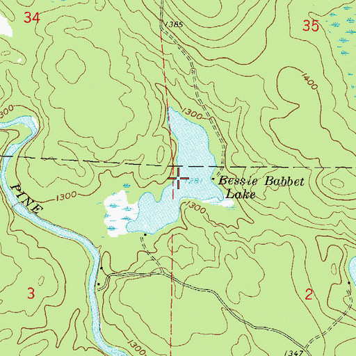 Topographic Map of Bessie Babbet Lake, WI