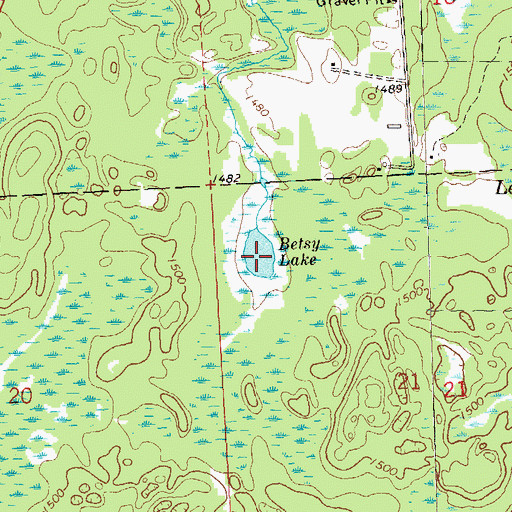 Topographic Map of Betsy Lake, WI