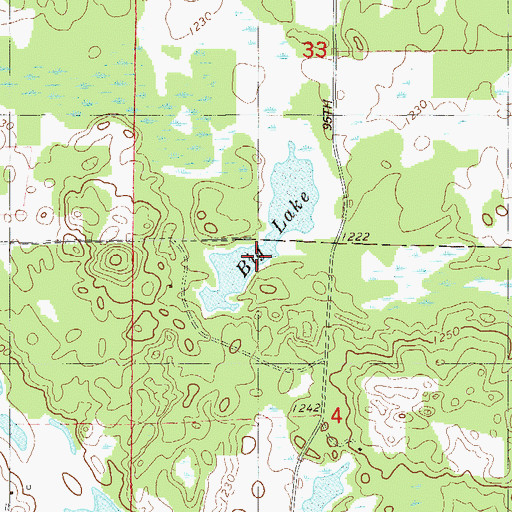 Topographic Map of Big Lake, WI