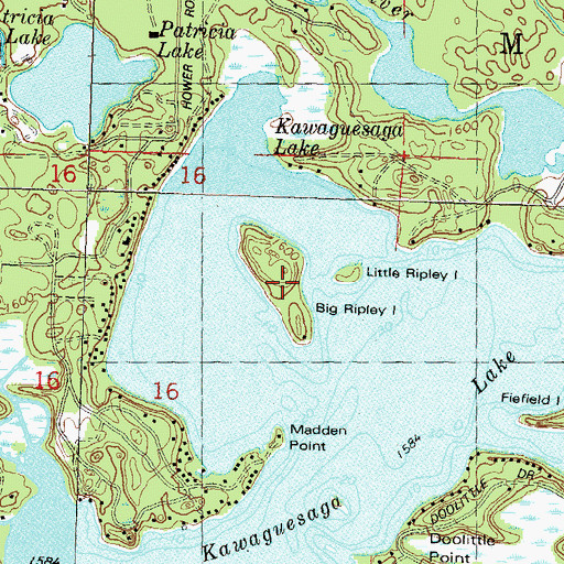 Topographic Map of Big Ripley Island, WI