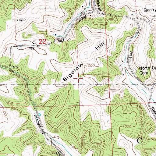 Topographic Map of Bigelow Hill, WI