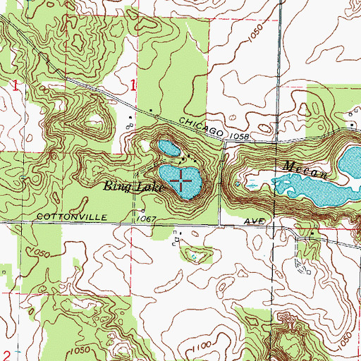 Topographic Map of Bing Lake, WI