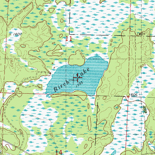 Topographic Map of Birch Lake, WI