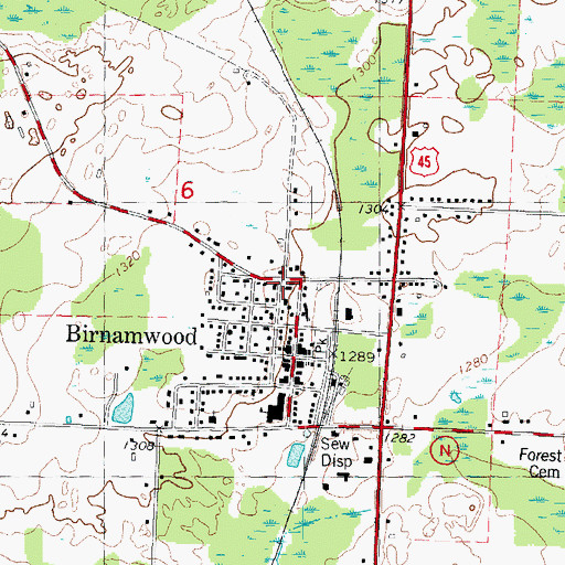 Topographic Map of Birnamwood, WI
