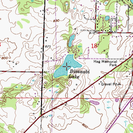Topographic Map of Bisanabi Lake, WI