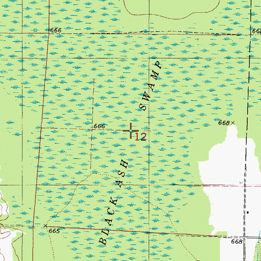 Topographic Map of Black Ash Swamp, WI