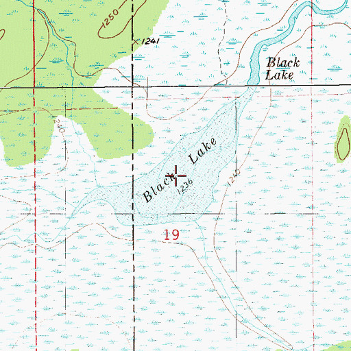 Topographic Map of Black Lake, WI
