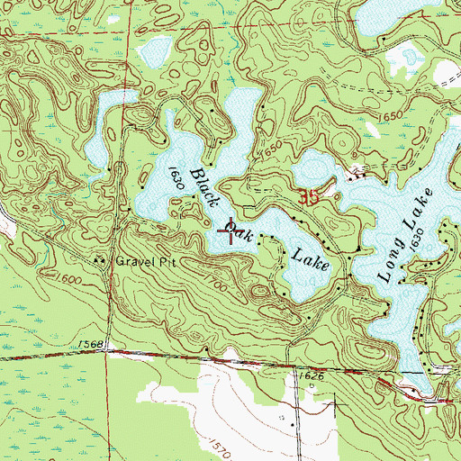 Topographic Map of Black Oak Lake, WI