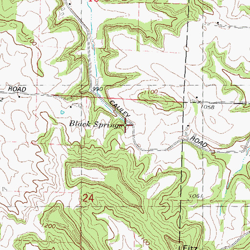 Topographic Map of Black Springs, WI