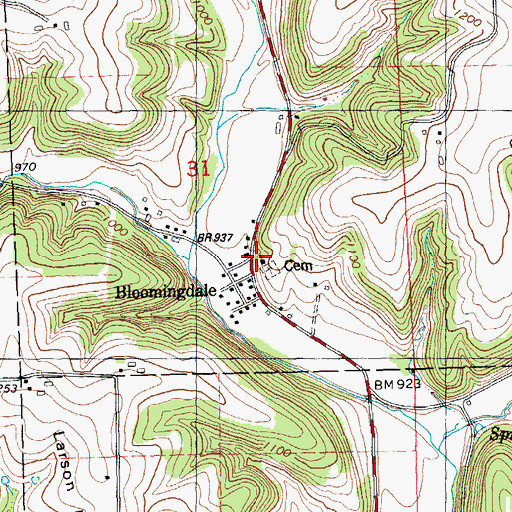 Topographic Map of Bloomingdale, WI