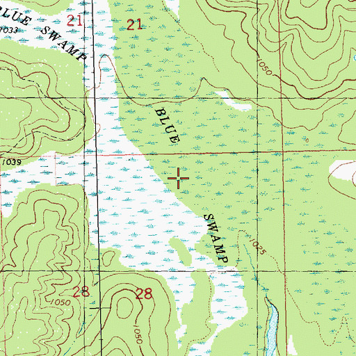 Topographic Map of Blue Swamp, WI