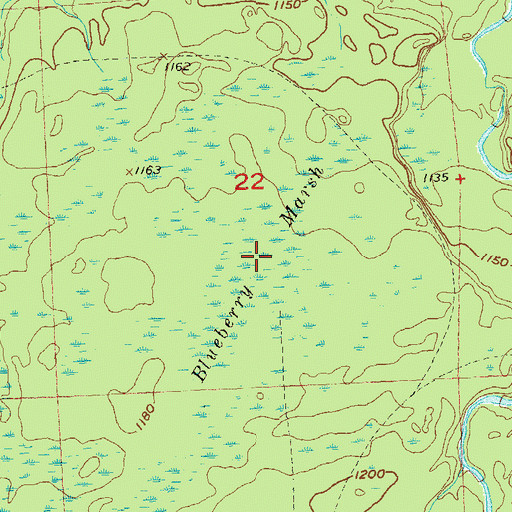 Topographic Map of Blueberry Marsh, WI
